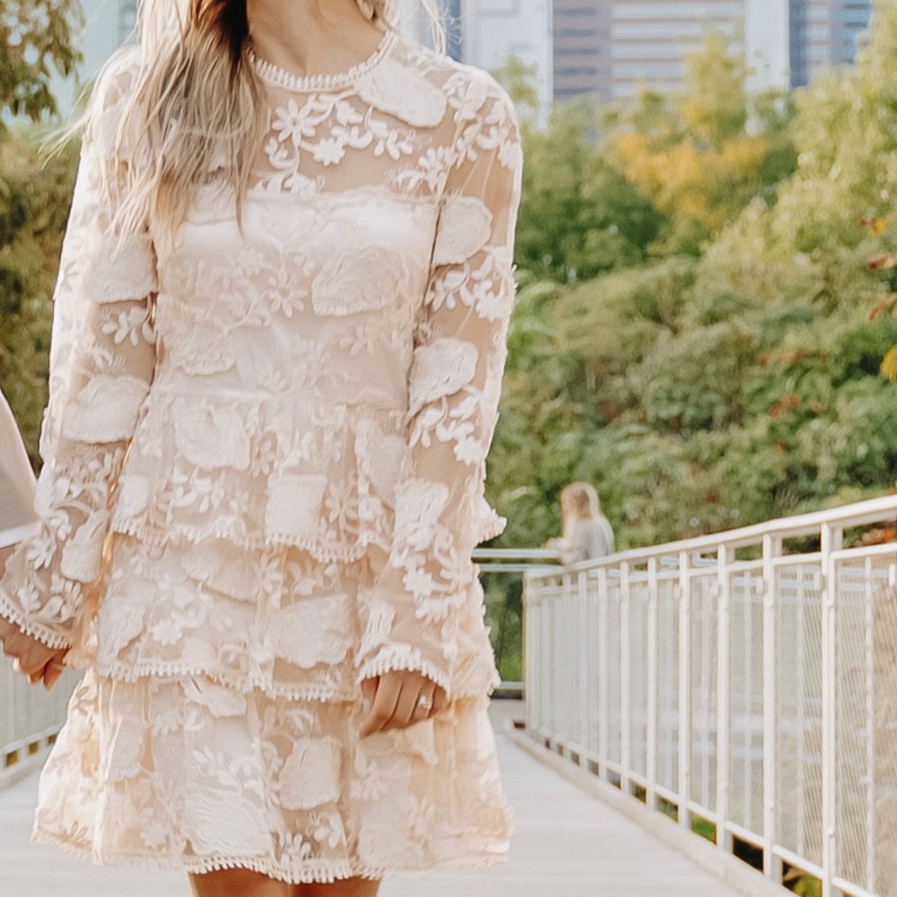 Cute Embroidered Ruffle Dress